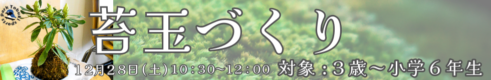 2024年12月28日自然体験教室苔玉づくり